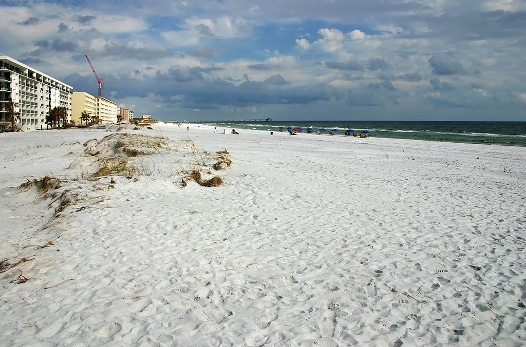 IMG_3315.JPG
