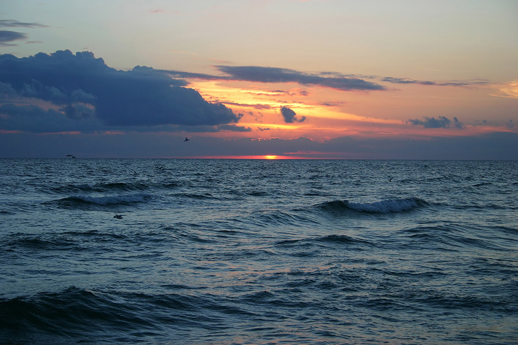IMG_3349.JPG