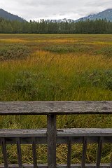 IMG_135
