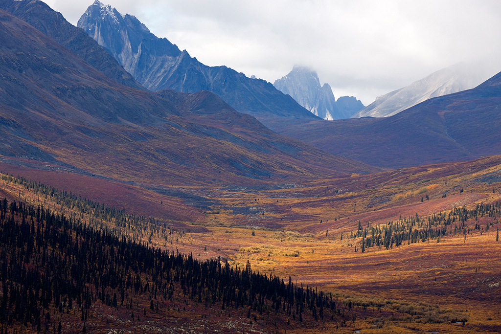 IMG_225.jpg - Tombstone Territorial Park, Yukon