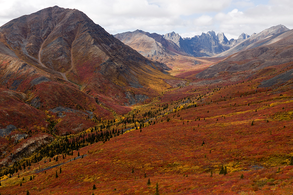 IMG_228.jpg - Tombstone Territorial Park, Yukon