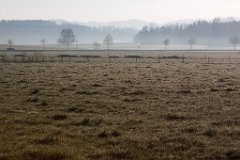 IMG_6127