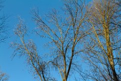 Freitagnachmittag_1
