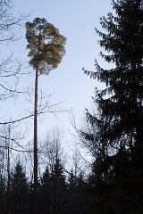 Freitagnachmittag_2