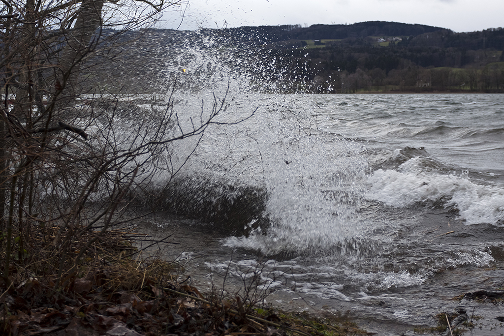 Greifensee_25.jpg