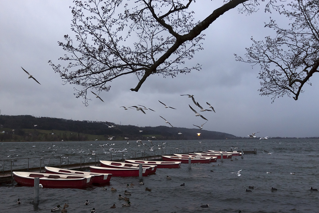 Greifensee_27.jpg