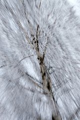 IMG_2811
