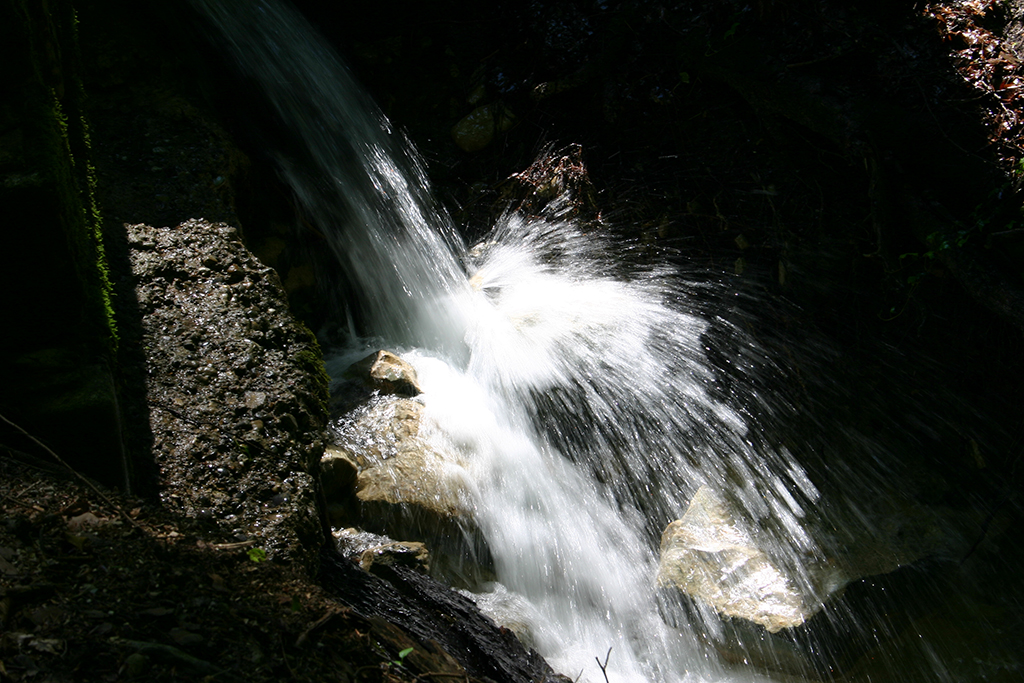 107_0749.JPG
