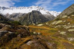 Chelenalp_11