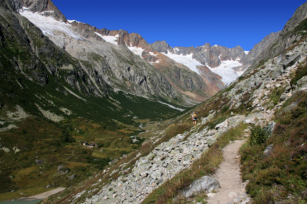 IMG_8383.JPG