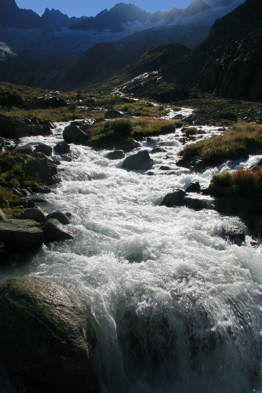 IMG_8442.JPG