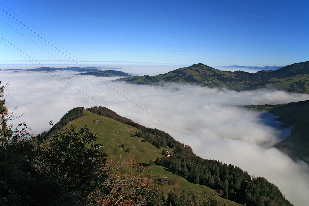 IMG_3449.JPG