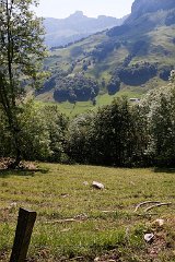 IMG_2600