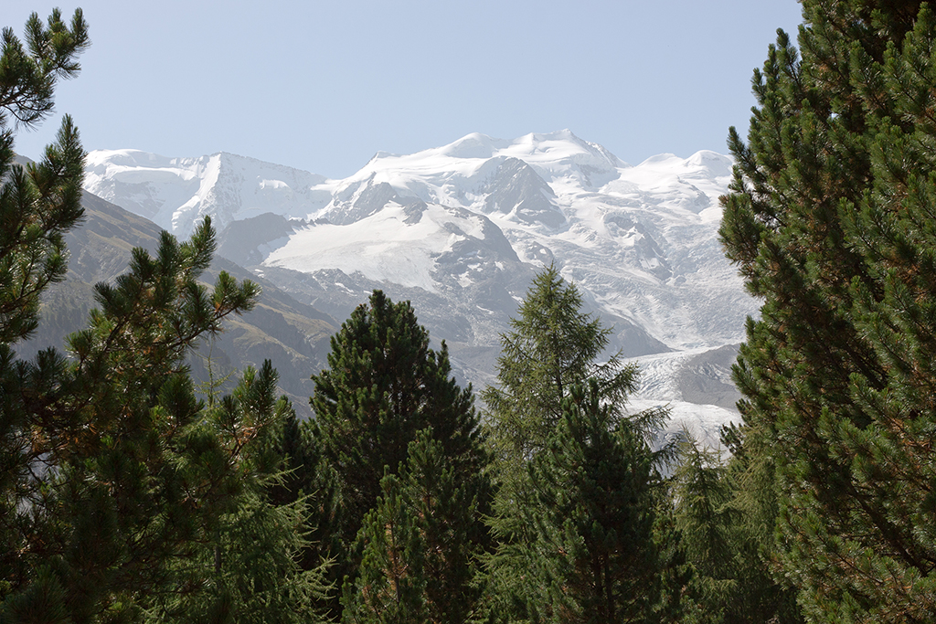 IMG_6462.jpg