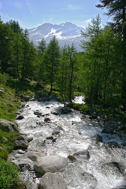 100_0004.jpg