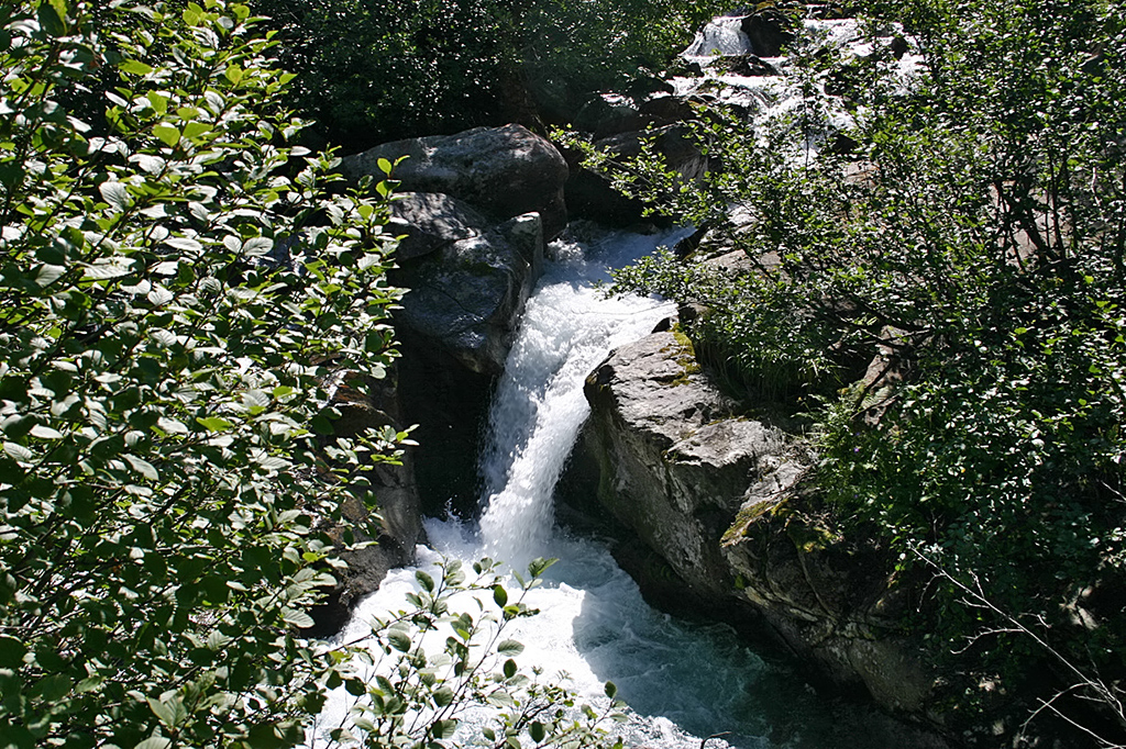 100_0015.JPG
