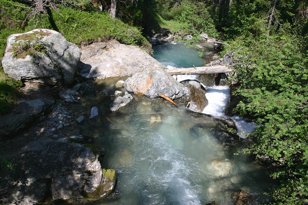 100_0016.JPG