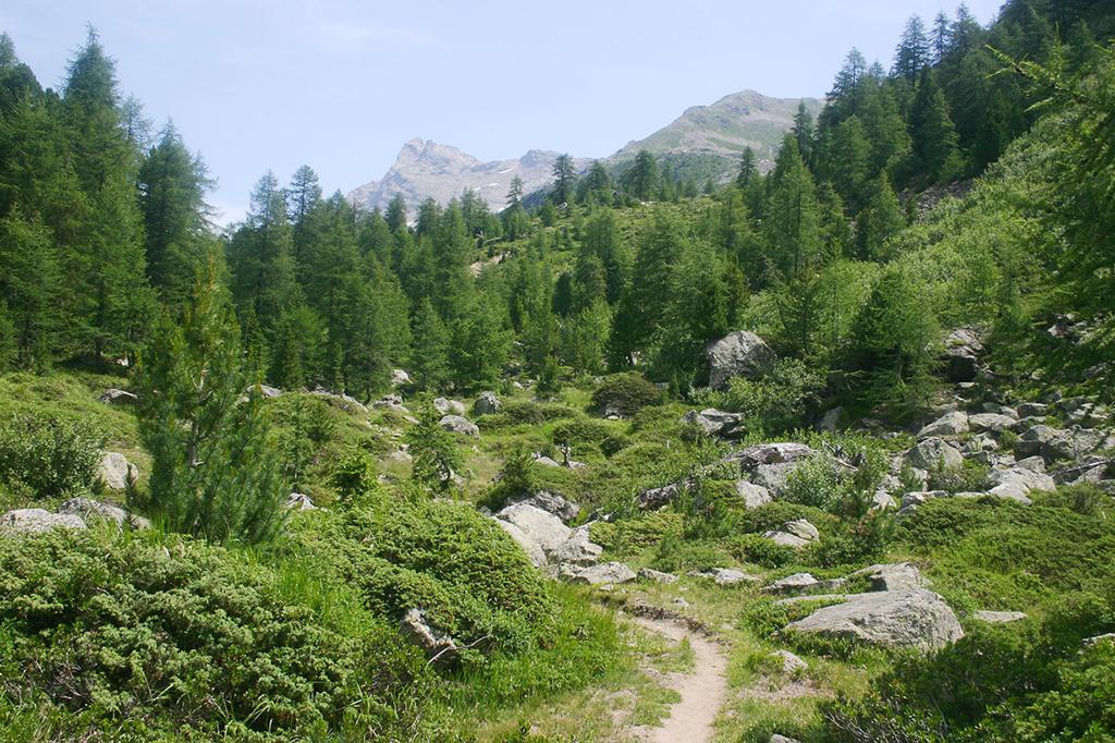 100_0041.JPG