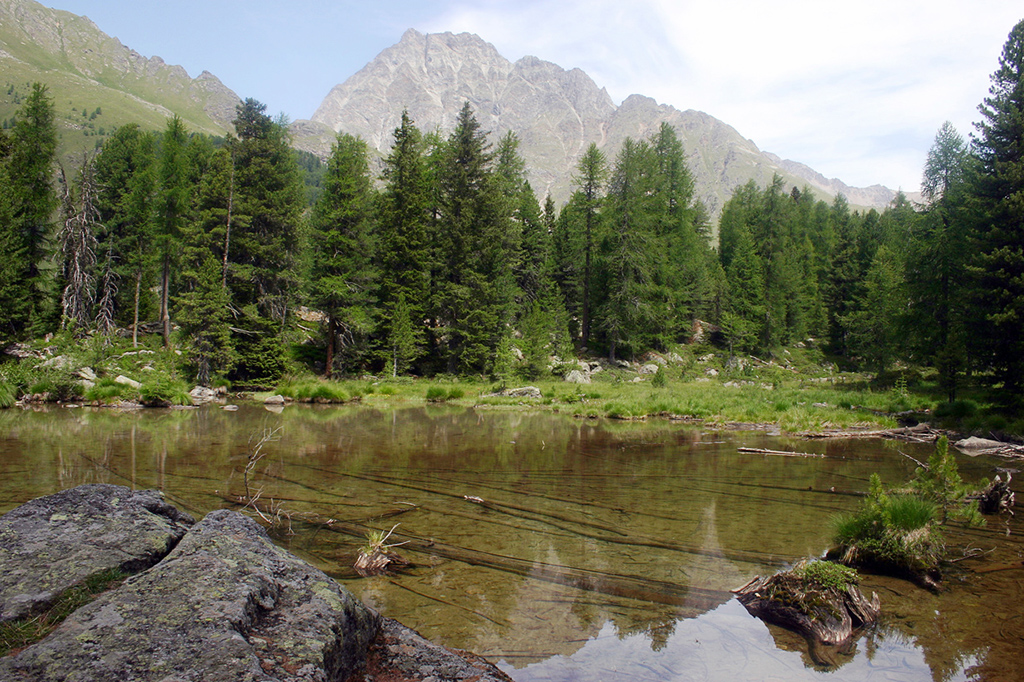 100_0046.JPG