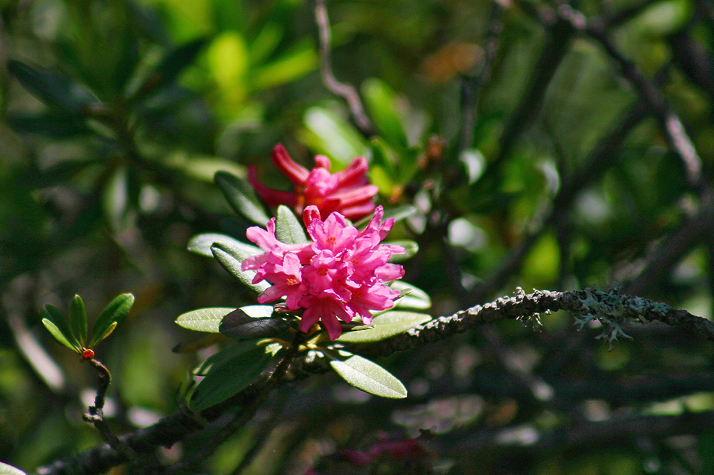 100_0060.JPG