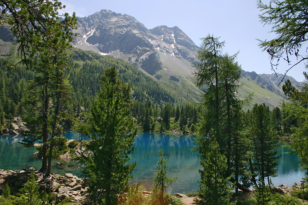 100_0085.JPG