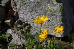 Joeriseen_06