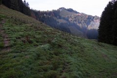 IMG_6282