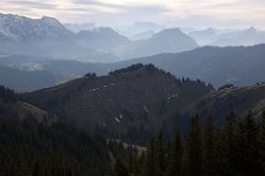 IMG_6415