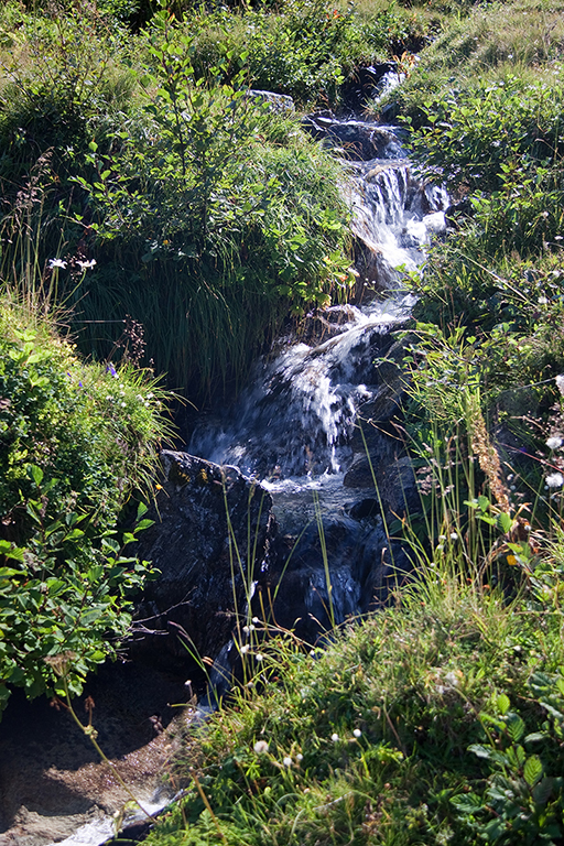 IMG_7693.jpg