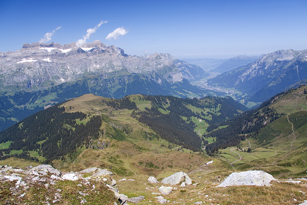 IMG_7768.jpg