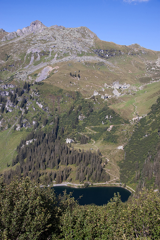 IMG_7861.jpg