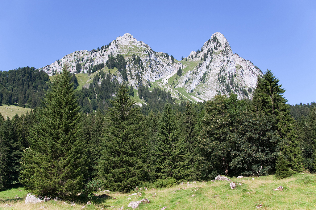 IMG_7149.jpg