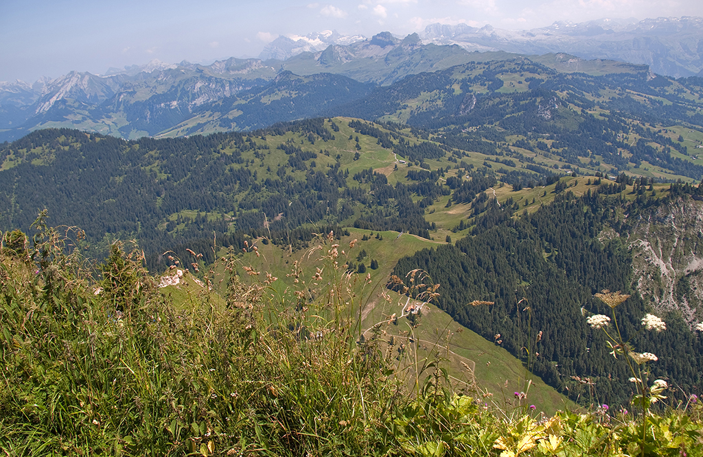 IMG_7268.jpg