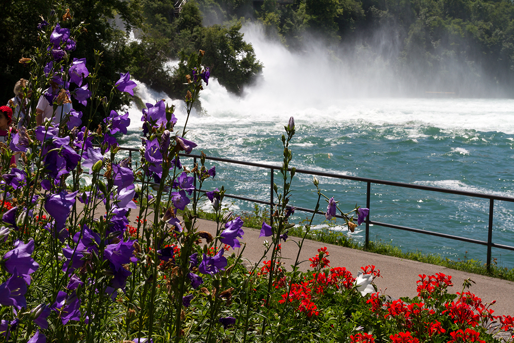 Rheinfall_08.jpg