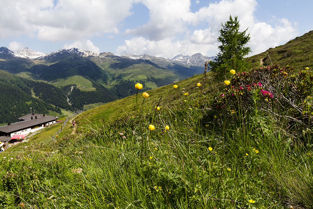 Rinerhorn_07.jpg