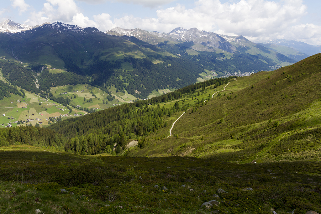Rinerhorn_17.jpg