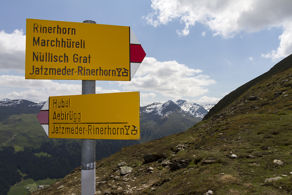 Rinerhorn_18.jpg