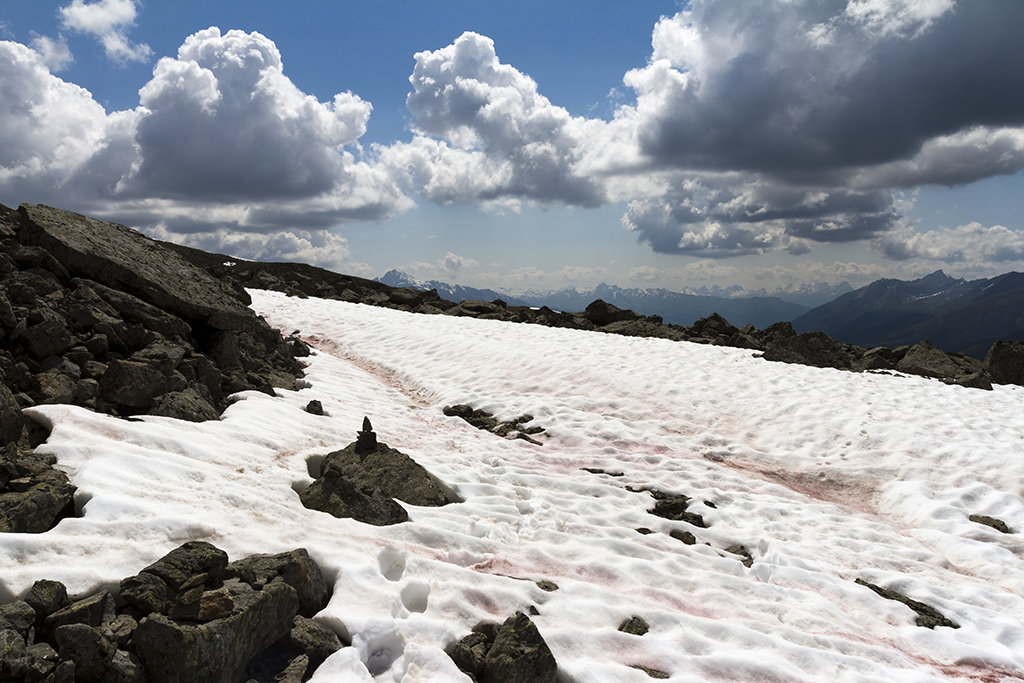 Rinerhorn_25.jpg