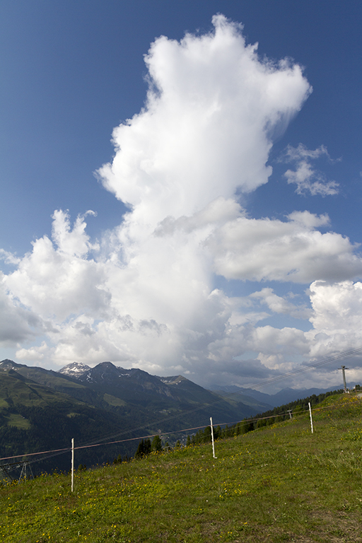 Rinerhorn_33.jpg