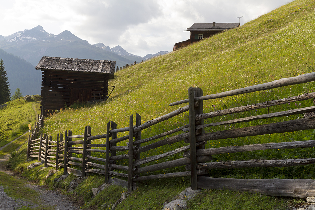 Rinerhorn_38.jpg