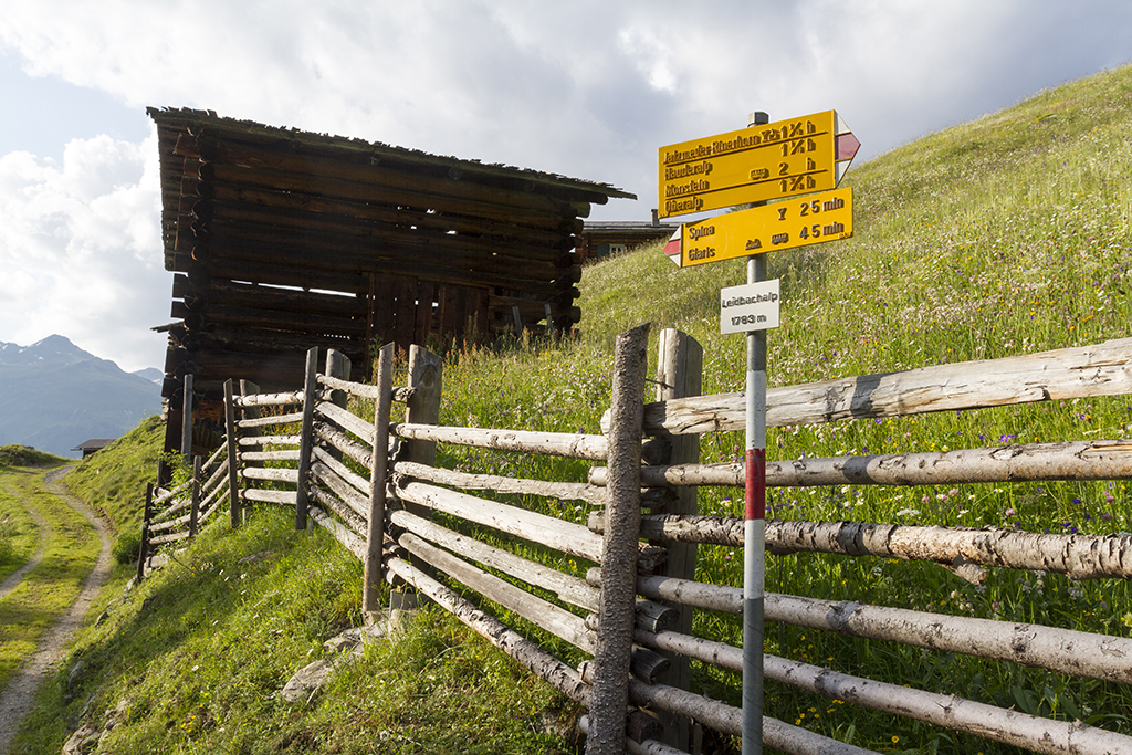 Rinerhorn_39.jpg