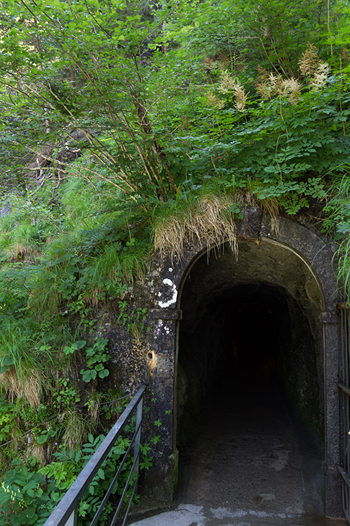 Schluchten_10.jpg - Aareschlucht