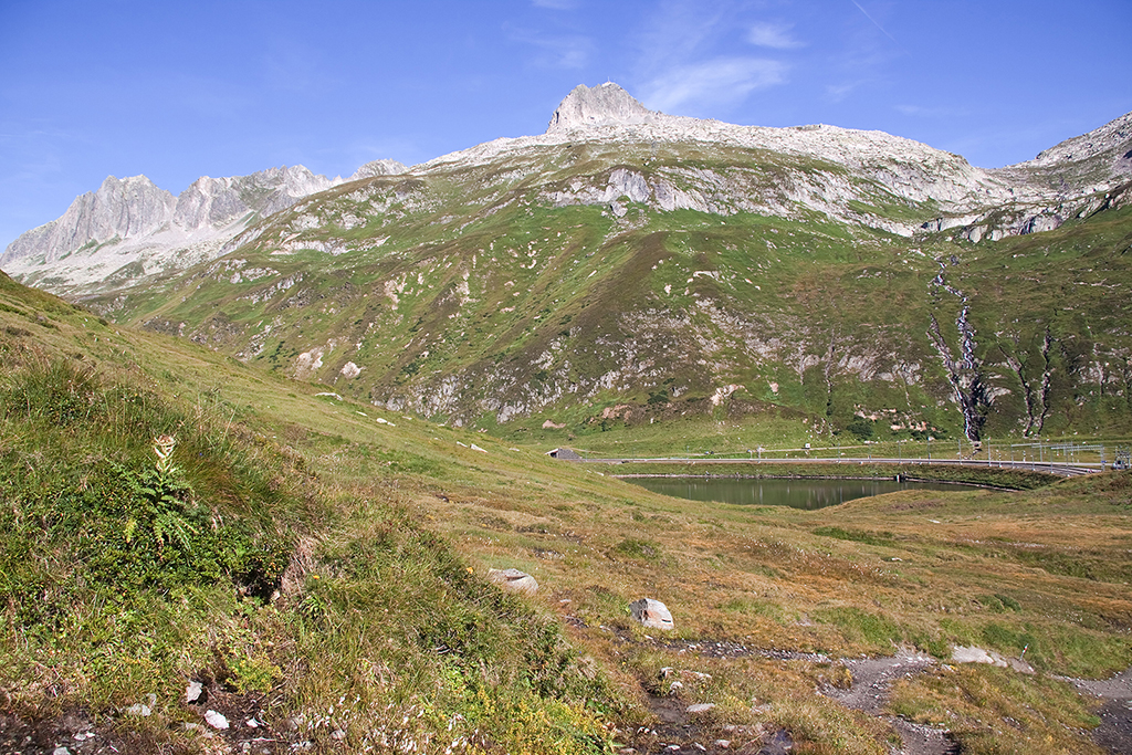 IMG_8594.jpg