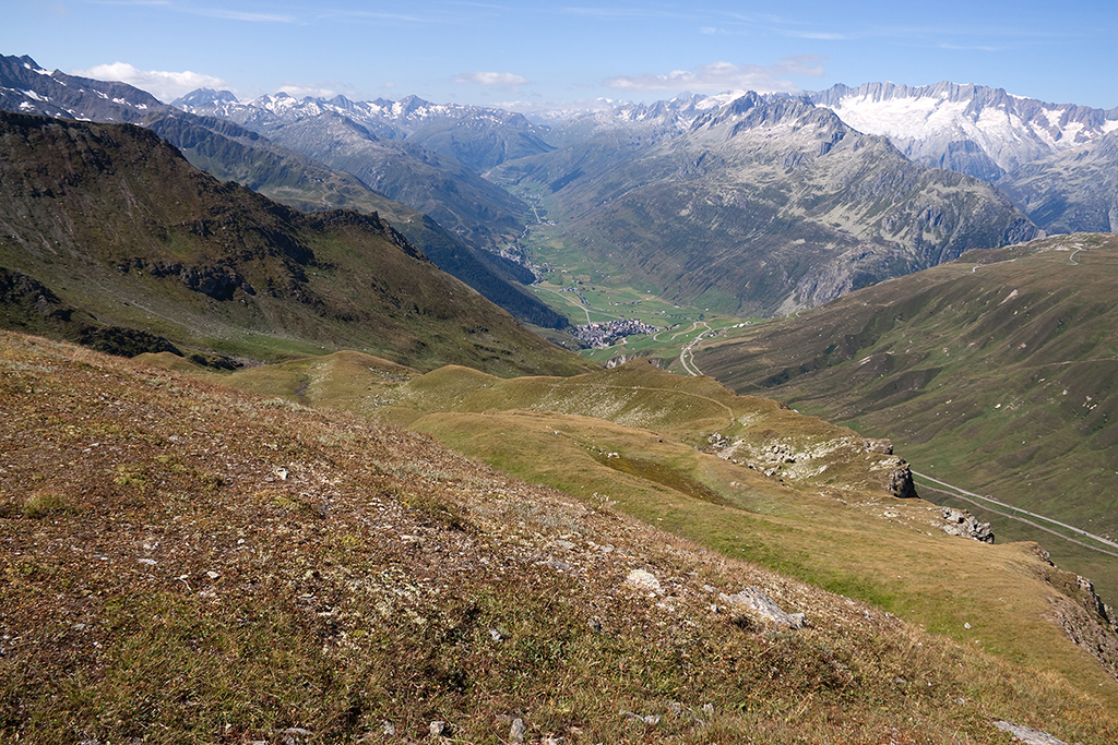 IMG_8652.jpg