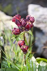 IMG_8826