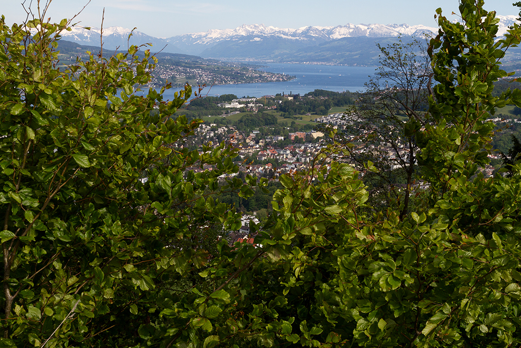 Üetliberg_24.jpg