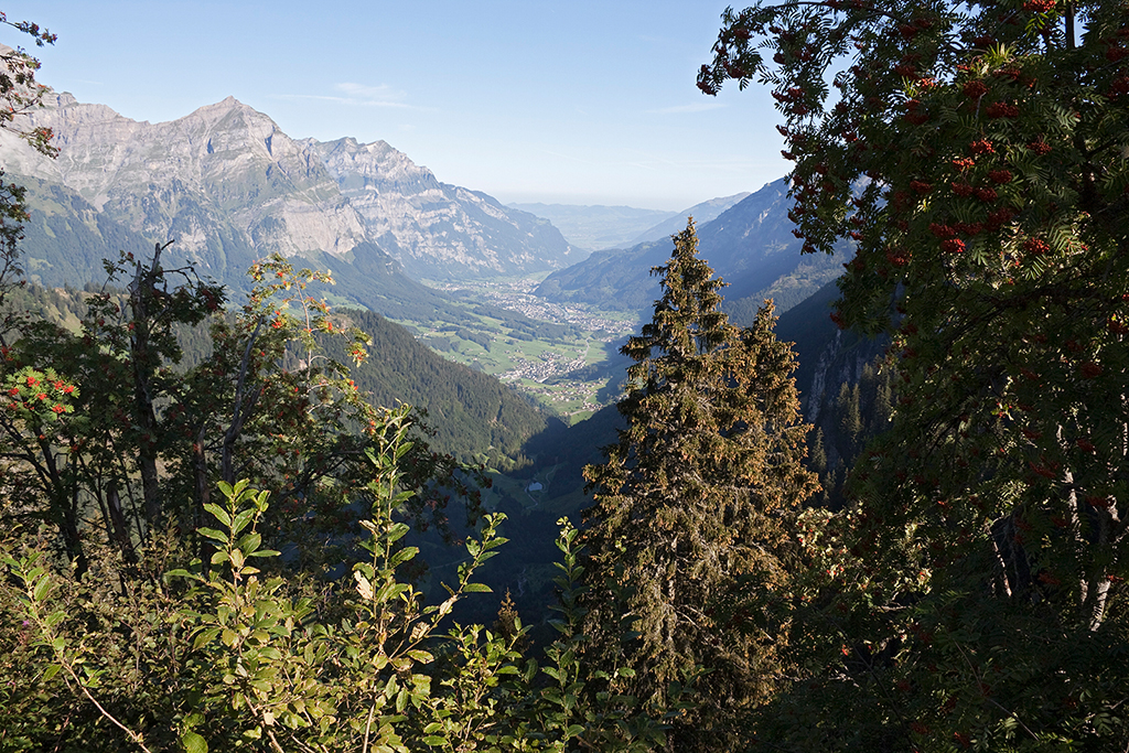 IMG_8876.jpg