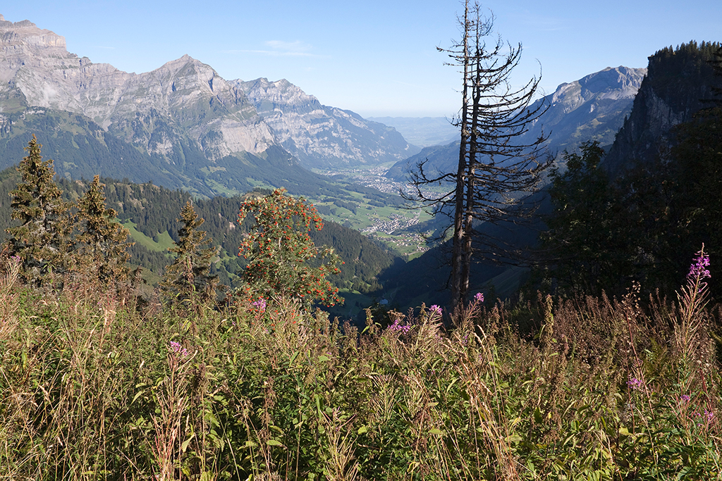 IMG_8879.jpg