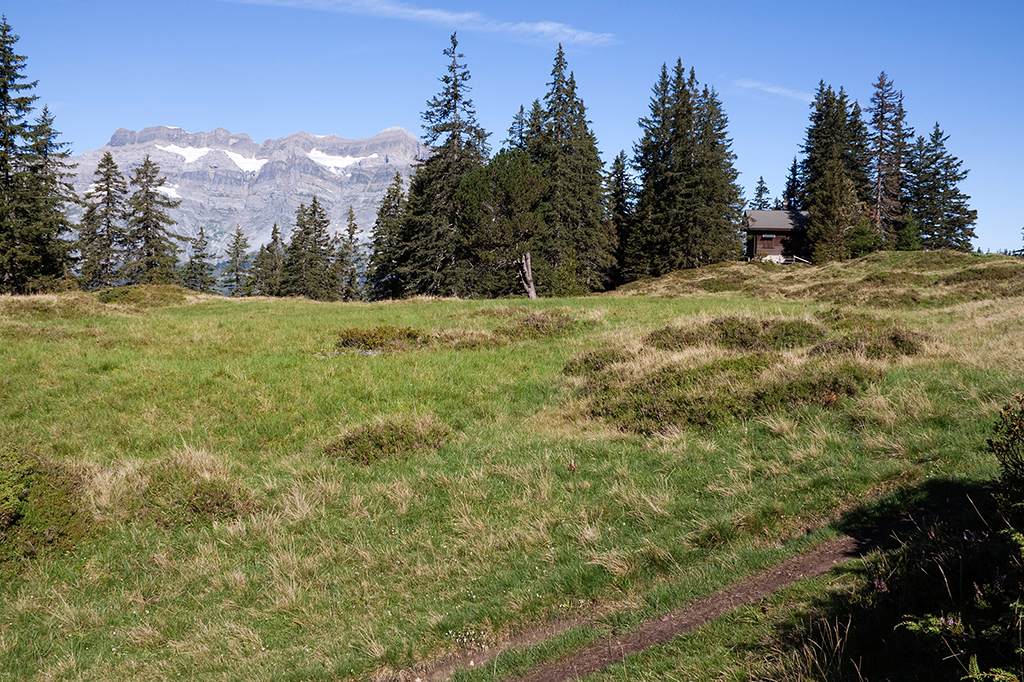 IMG_8895.jpg