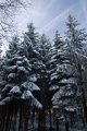 IMG_9551